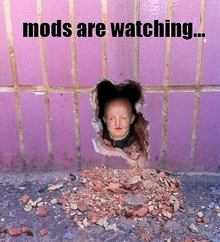 mods are watching