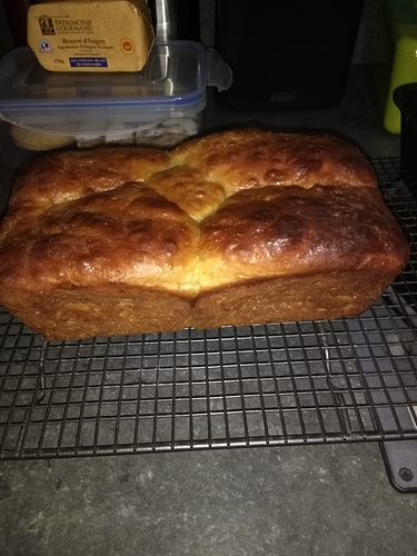 15124979351081739986019