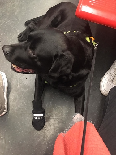 201903%20Phone%20pics%20451