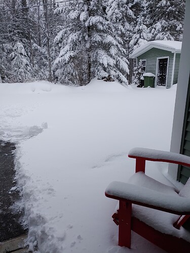 17719317376902199102496510687405