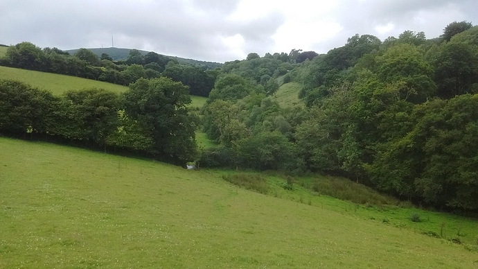 IMG_20200709_140458060