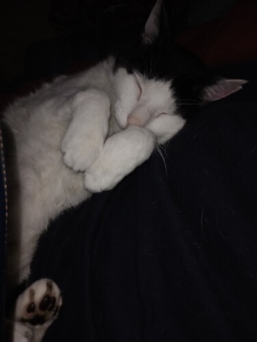 IMG_20251025_214314687