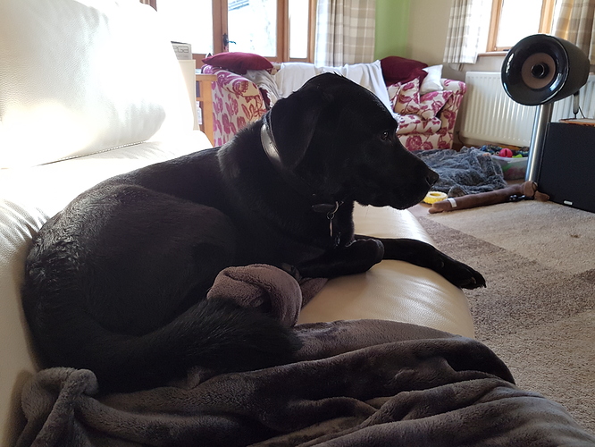 15504173105452977738914170022118