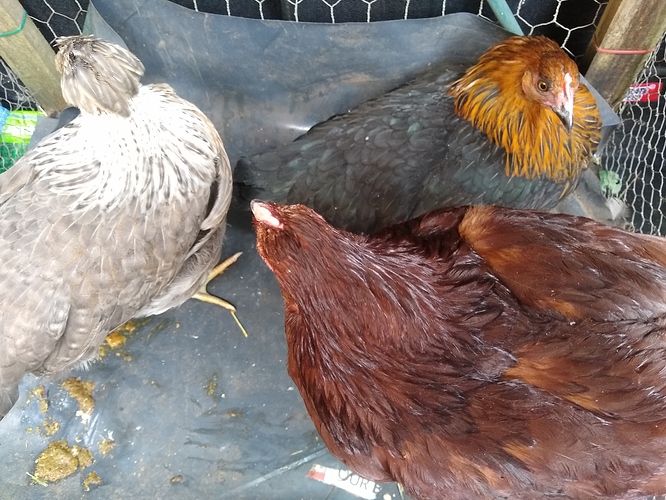 IMG_20190526_110745735