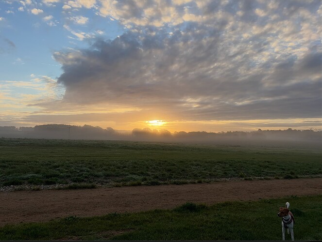 Screenshot 2025-10-23 at 17.06.23