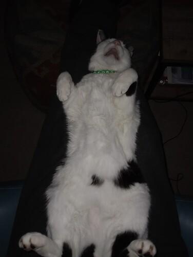 IMG_20251018_213957419