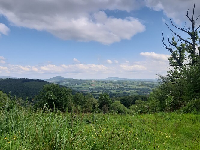 20240525_110806_copy_2265x1699