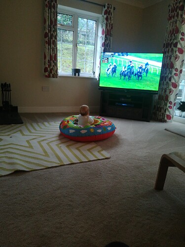 16405280398543584024043098713025