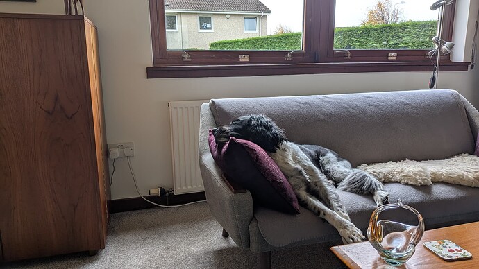 PXL_20251017_131825256