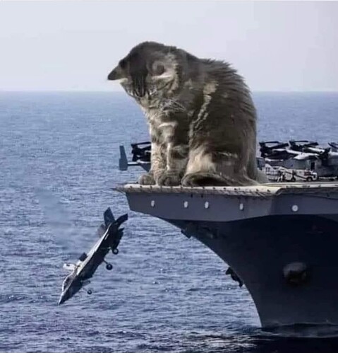 FB_IMG_1746385597075