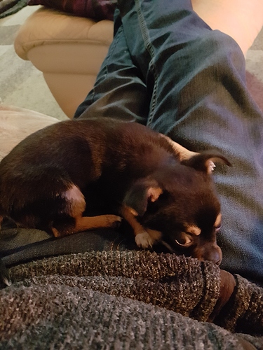 15517252525639153733183101211119