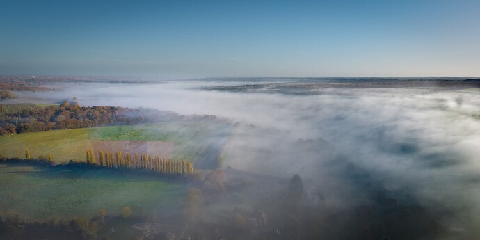 54911546108_397f7d12a2_o