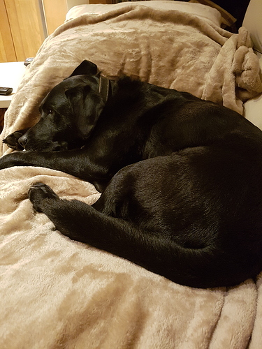 15513761945347867482783820524709