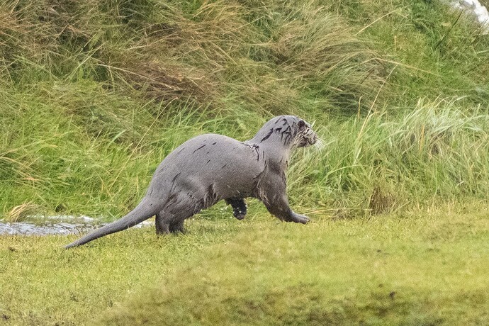 54830645747_489240ecac_o