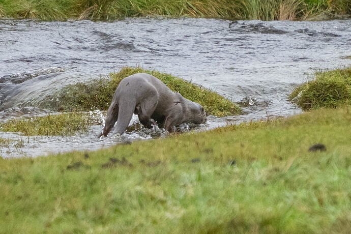 54831749103_5a6967a694_o