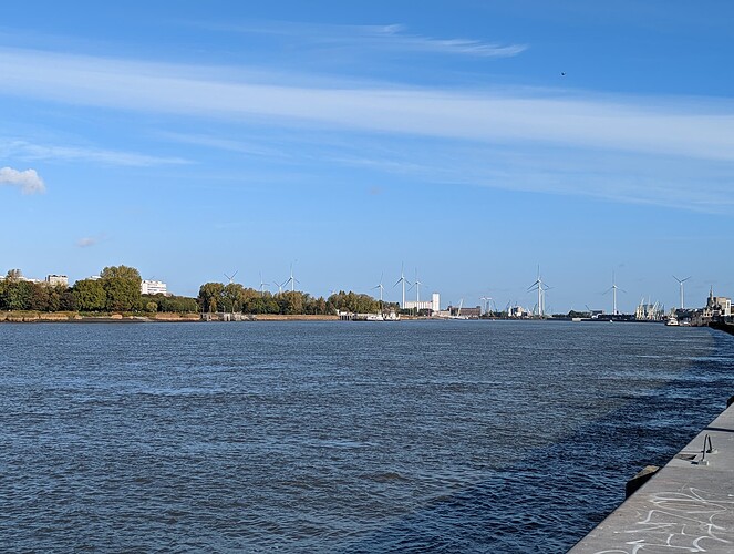 PXL_20221016_090856769