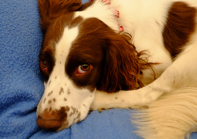 Hildur%2014%2002%2019%202