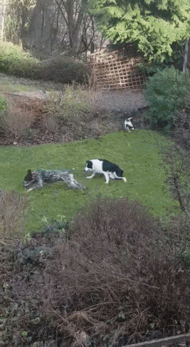 Charlei%20stan%20and%20ralph%20smaller