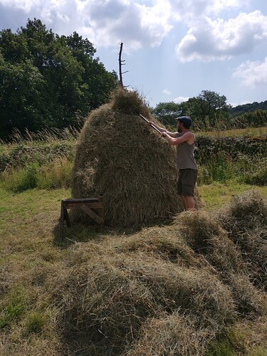 IMG_20210726_140628-01