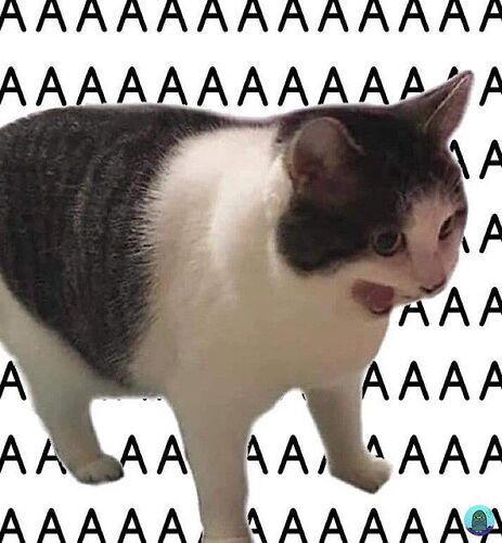 1000018649