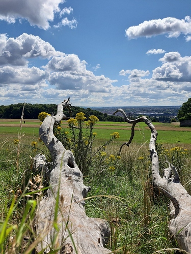 20200711_105441_copy_1062x1416