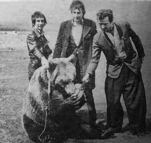 bear cage