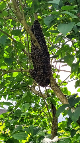 IMG_20240527_160152_1716843882751~2