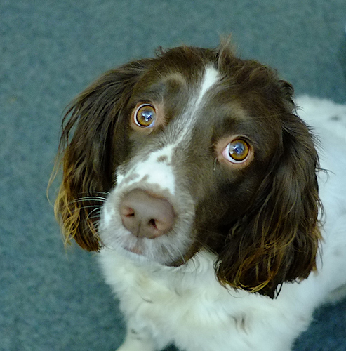 Maddie%2014%2002%2019%202