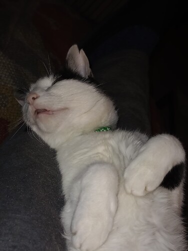 IMG_20251023_195927513