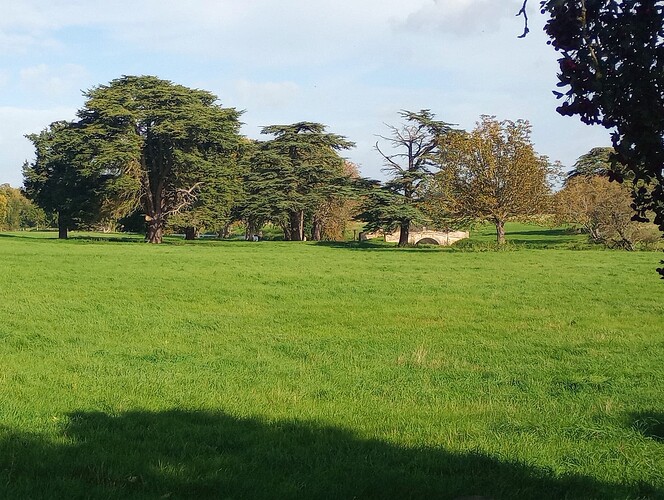 IMG_20251004_105902801~2