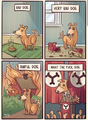 FWKJtVGk_2019820231933