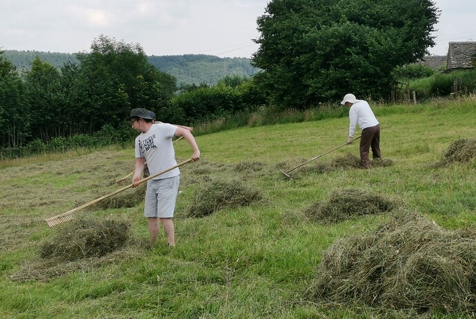 IMG_20210726_135616-01