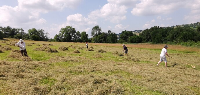 IMG_20210726_140338-01