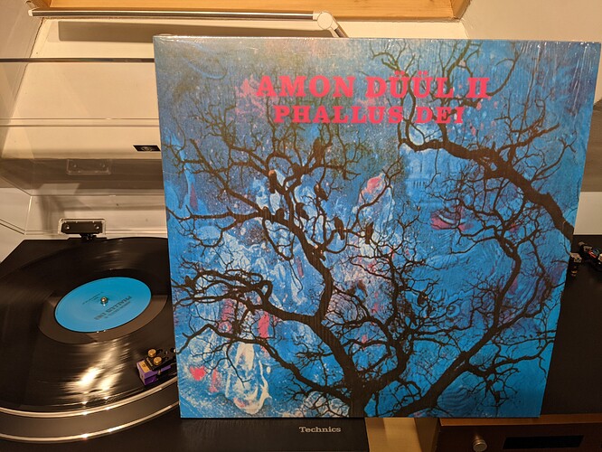 PXL_20210403_194910865