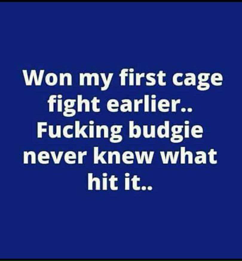 cage%20fight