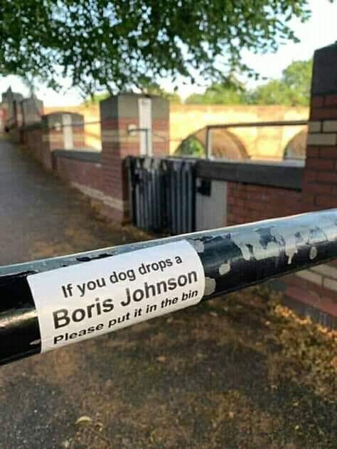 67972273_2625608457473648_6218258998383083520_n