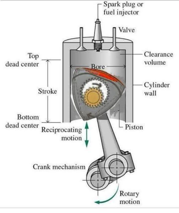 FB_IMG_1762284256029