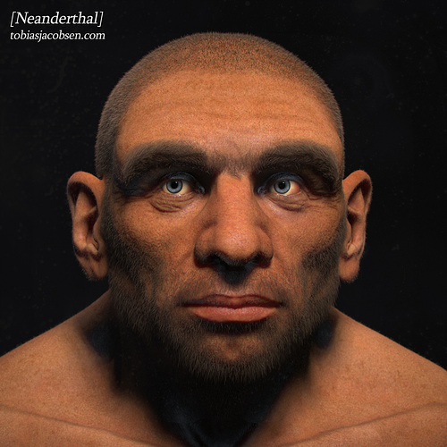 neanderthal-front-tobiasjacobsen1