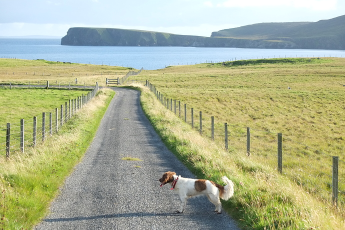 30 08 17 Maddie on a lovely evening