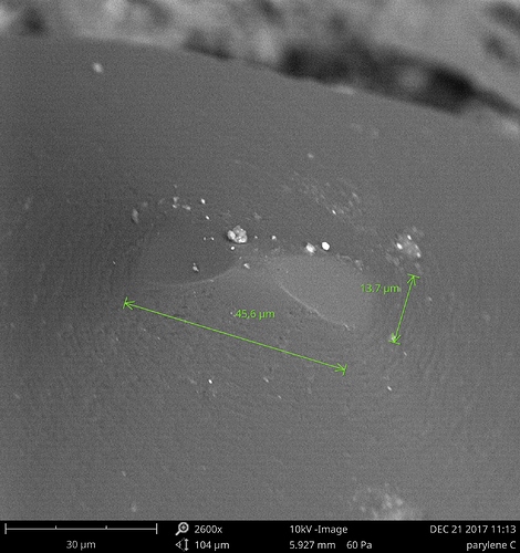 parylene C0004M0002