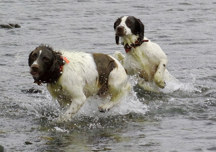 31 08 17 Maddie and Hildur Aith Beach