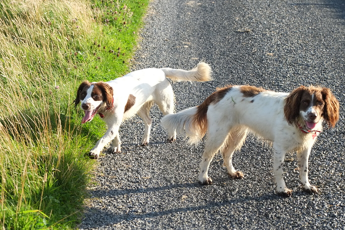 30 08 17 a rare moment of quiet