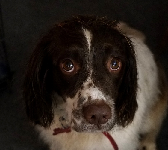 Maddie 2 01 11 17