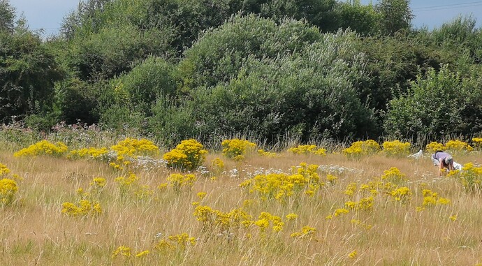 IMG_20210804_140340-01