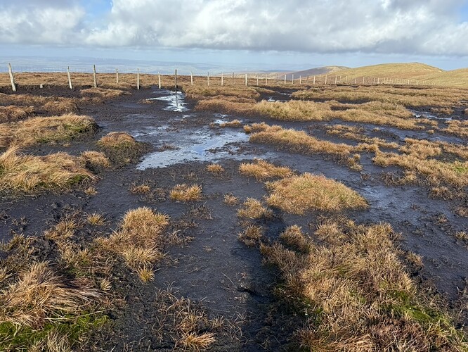 1796F198-9BE0-4F80-9176-D18BA43C1FD3_1_105_c