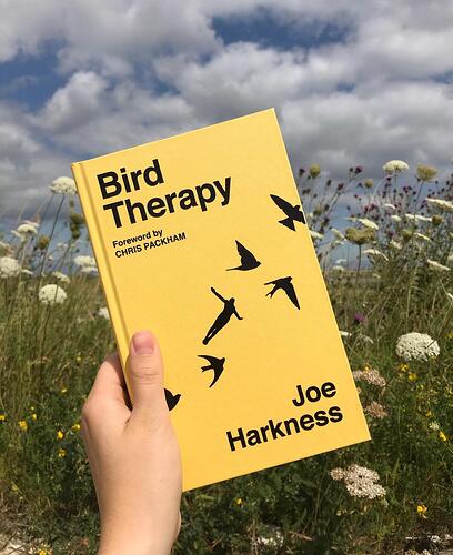 Bird Therapy