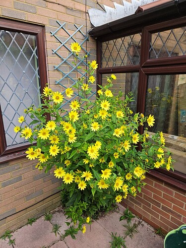 17583756211046505828573899019976