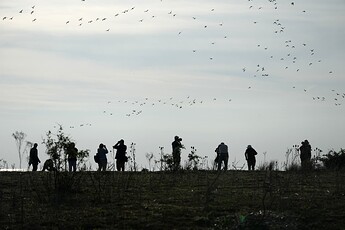 silhouette at snettersham