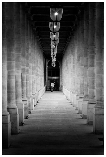 IMG_8649