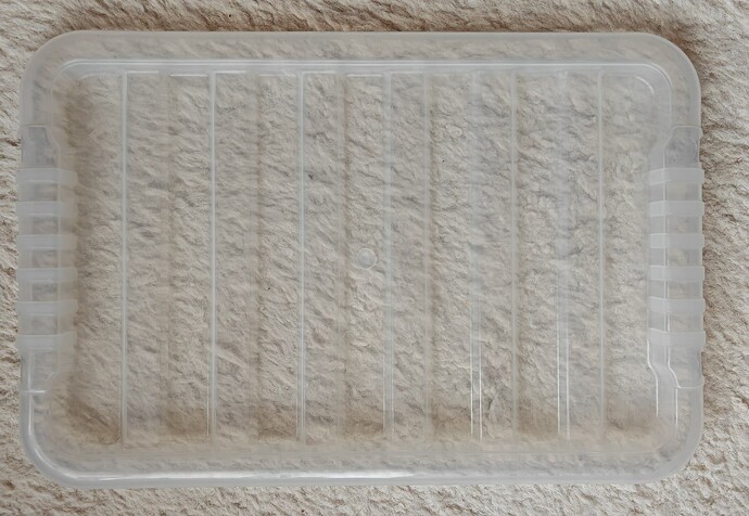 1000029551